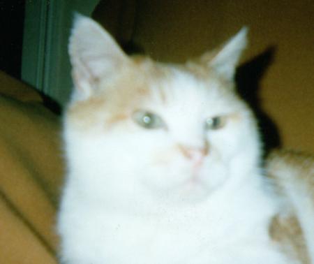 ROUKI